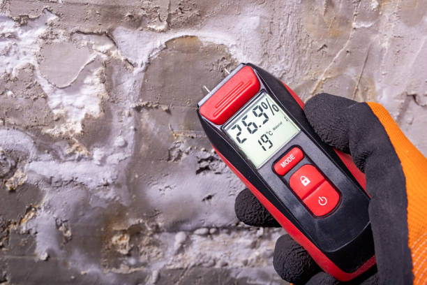 Best Commercial Mold Removal  in Bastrop, LA