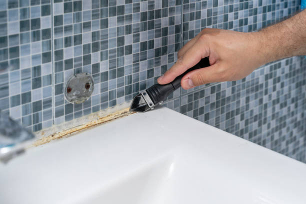 Best Same-Day Mold Removal  in Bastrop, LA