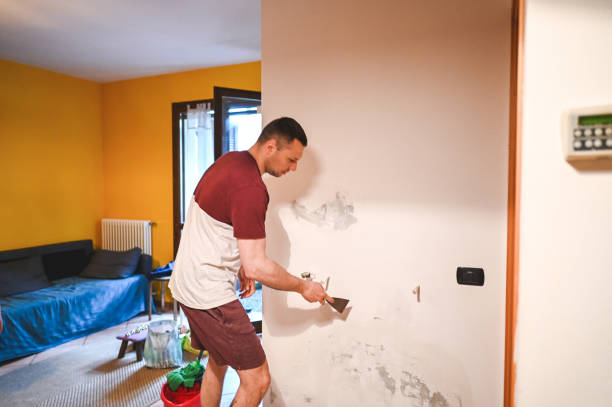 Best Mold Removal Near Me  in Bastrop, LA